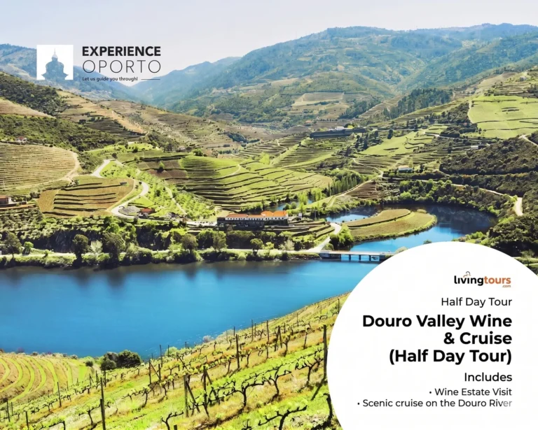 Douro Valley Wine & Cruise (Half Day)