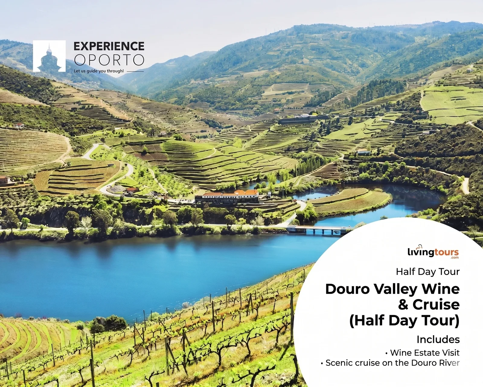 Douro Valley Wine & Cruise (Half Day)