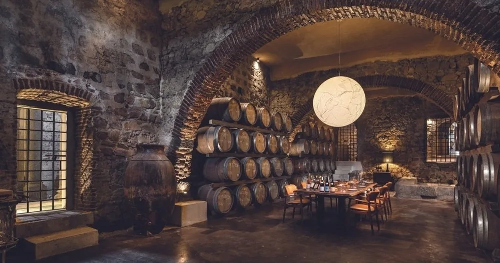 Évora Wine Tasting - New & Old Vineyards