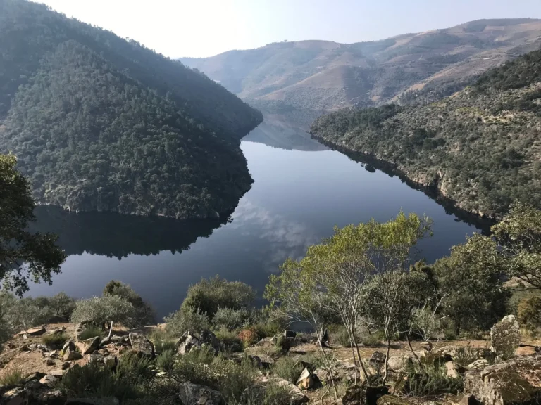 Douro & Tua Valley — Wine, Heritage and Wild Landscapes Day Tour