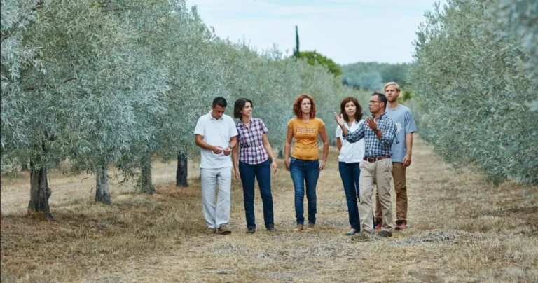 Visit to the Olive Oil Mill