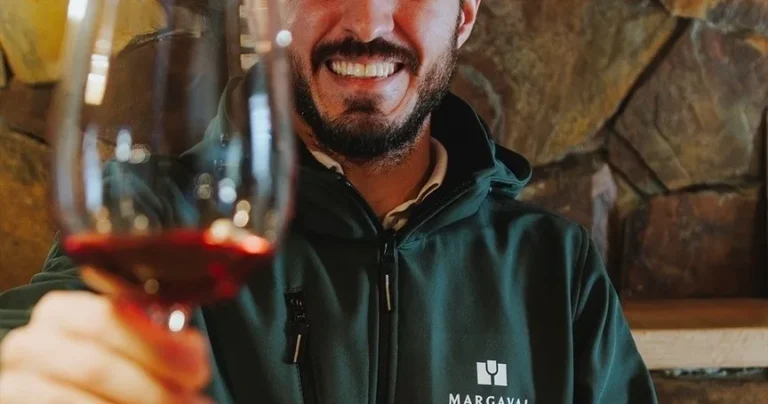 Wine Tasting Experience near Tomar