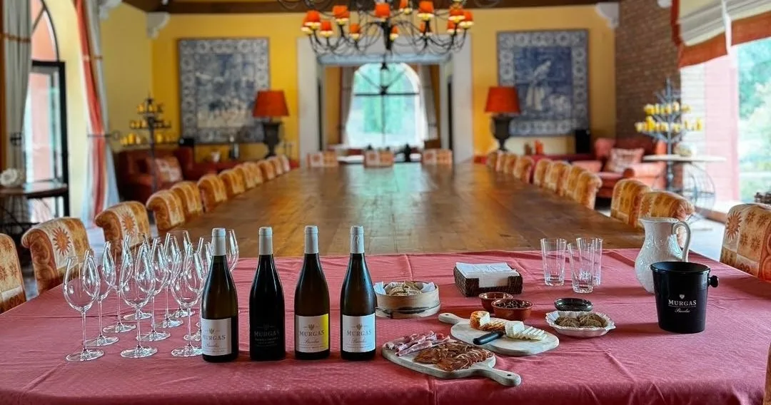 Prova de Vinhos Vertical com visita em veiculo todo-o-terreno