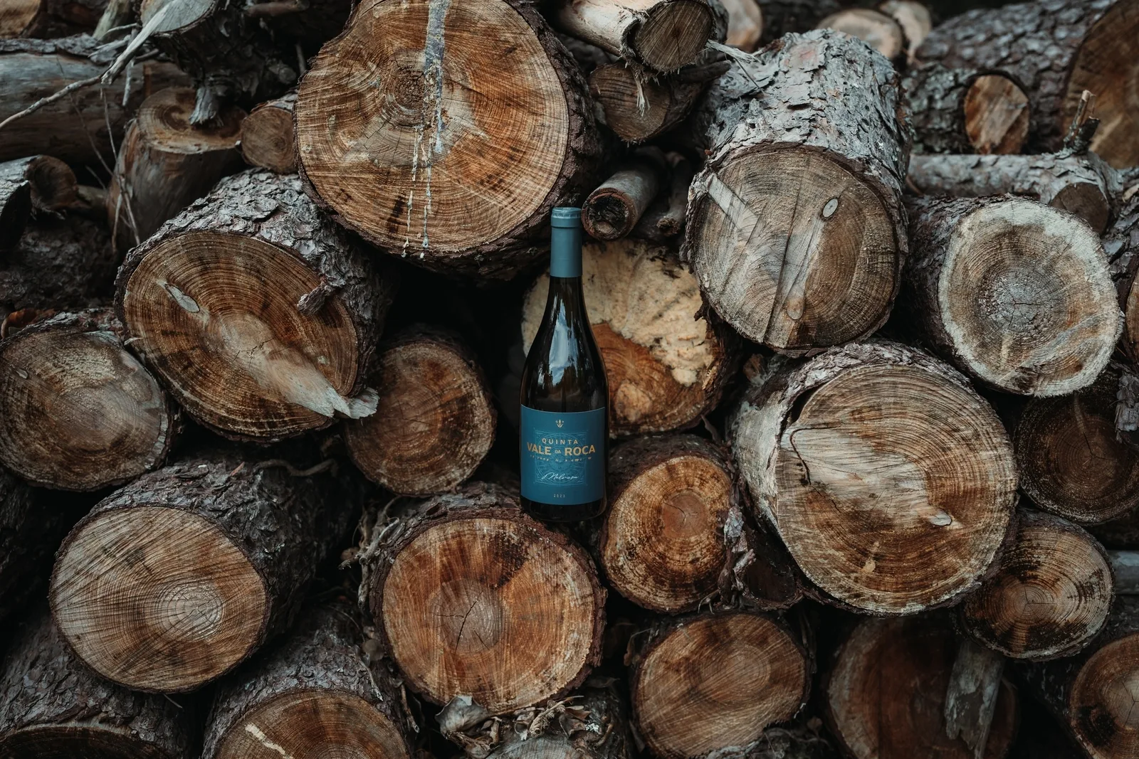 Prova Terroir