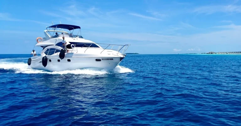Tour Privado • Passeio de Barco 1 hora Escaroupim