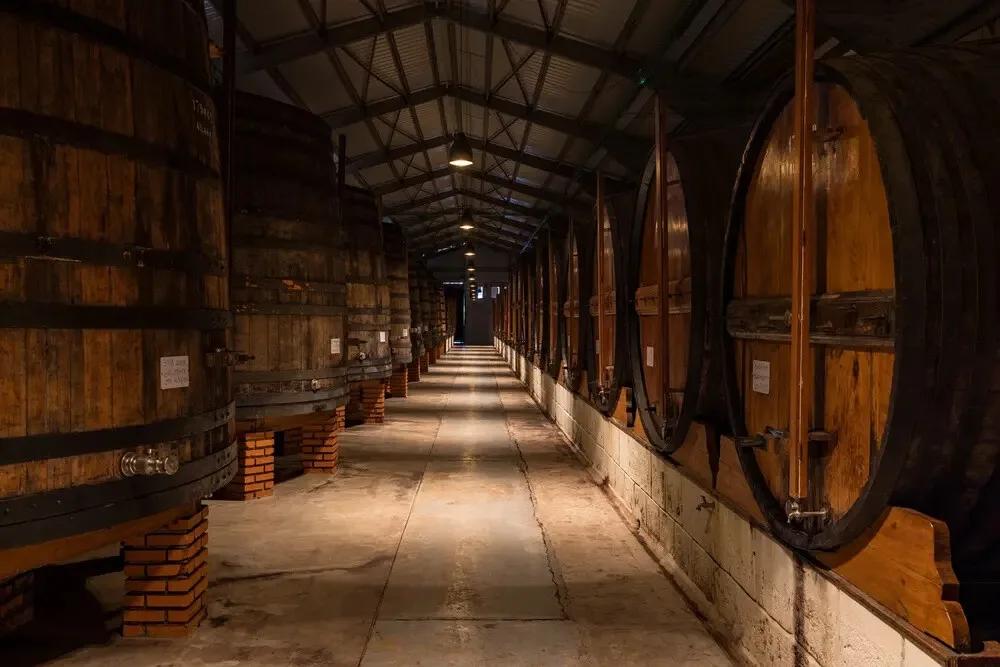 Premium Harvest (Qt. das Quartas, Régua, Douro)