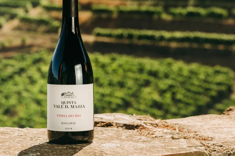 Guardiões das Vinhas Velhas