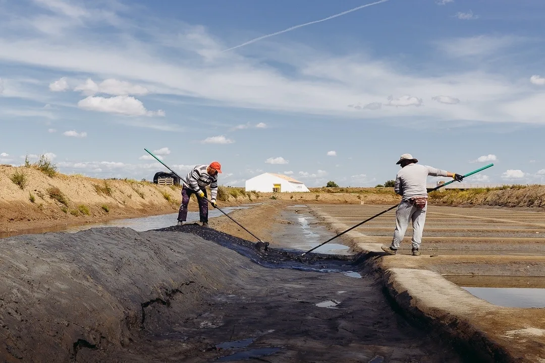 Salt Harvest with Sunset Tasting of Seafood & Wine