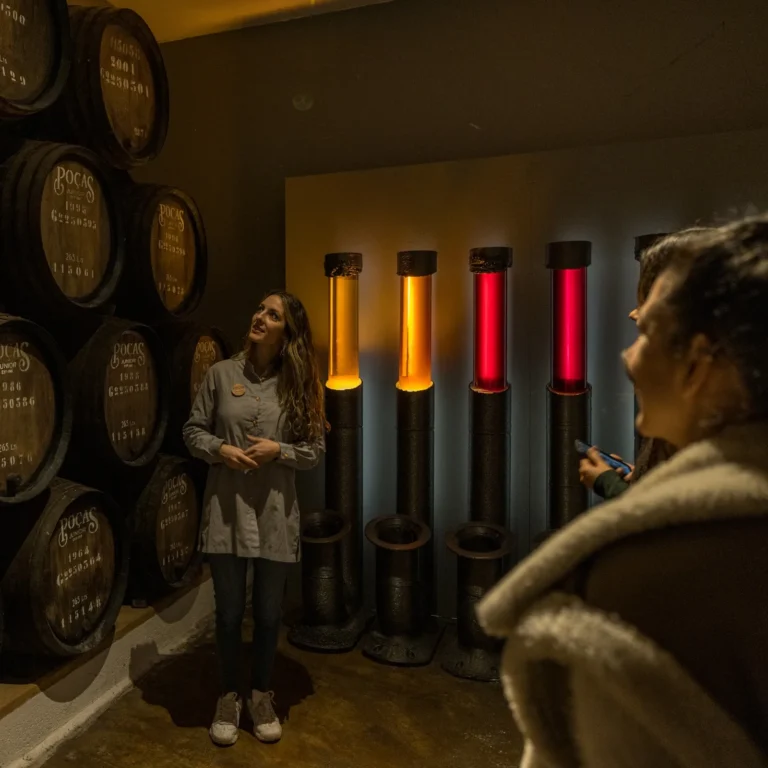 Douro Experience (Gaia)