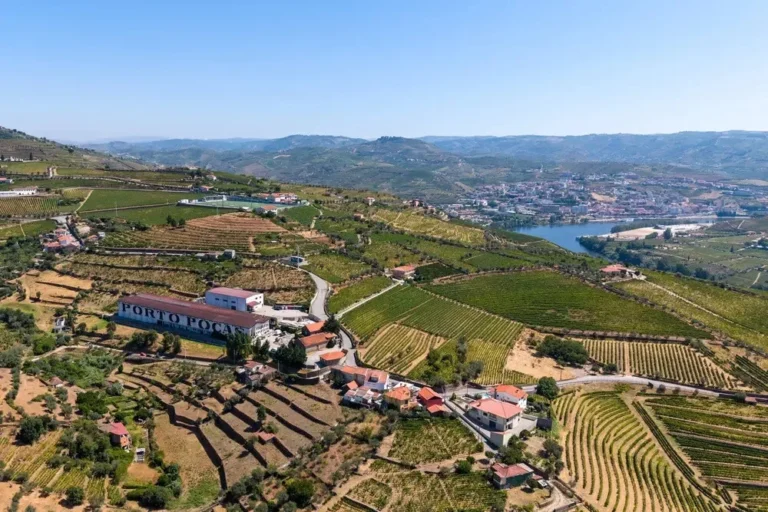 Port Essentials (Qt. das Quartas, Régua, Douro)