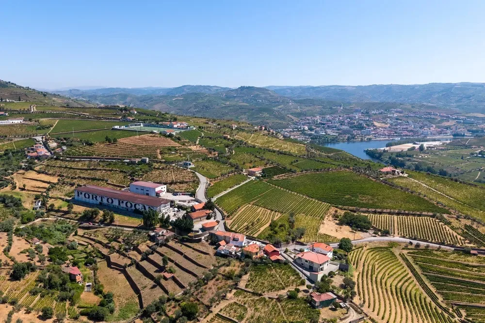 Port Essentials (Qt. das Quartas, Régua, Douro)