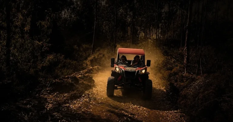 Buggy North Experience